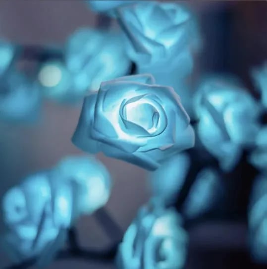 Lampe Rozenboom - Élégante lampe de table LED